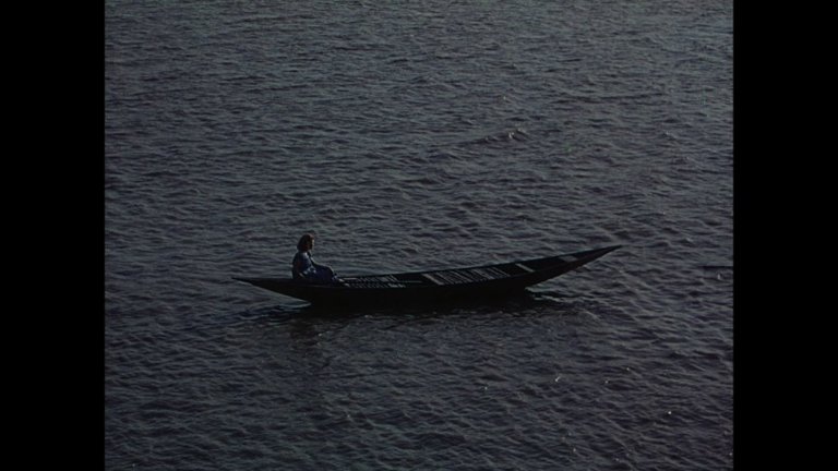 Screen capture from The River