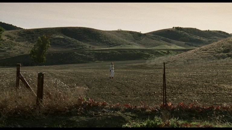 Screen capture from Safe