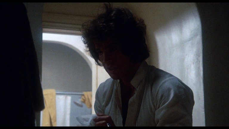Screen capture from Shampoo