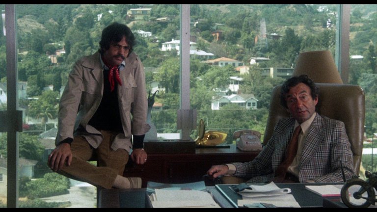 Screen capture from Shampoo