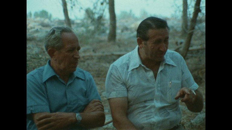 Screen capture from Shoah