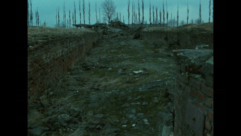 Screen capture from Shoah