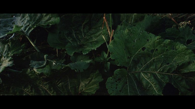 Screen capture from Solaris