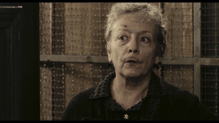 Screen capture from A Special Day