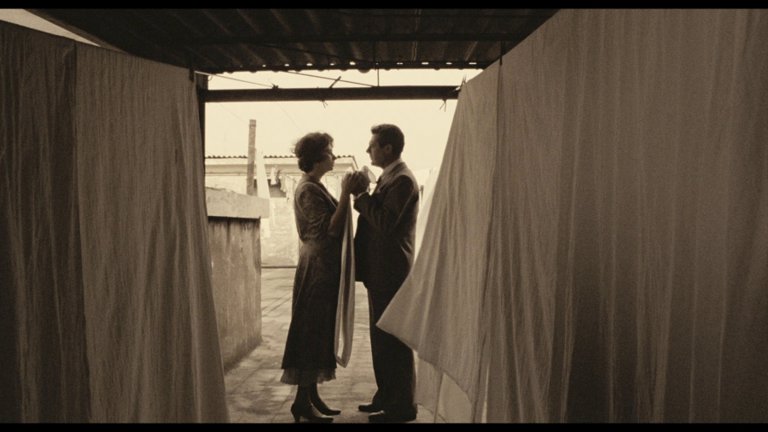 Screen capture from A Special Day