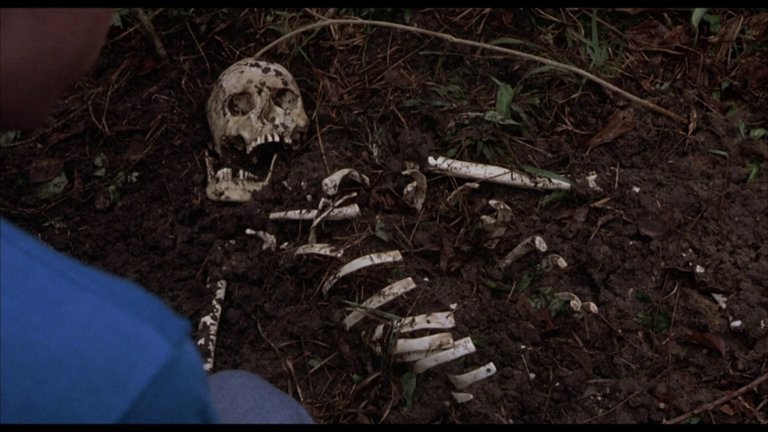 Screen capture from Squirm
