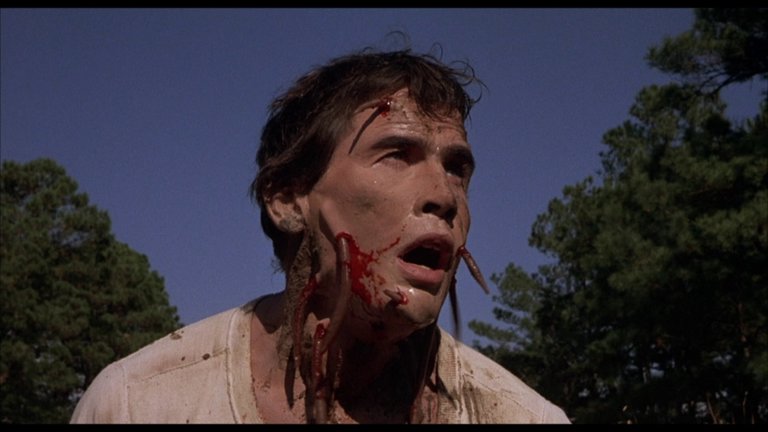 Screen capture from Squirm