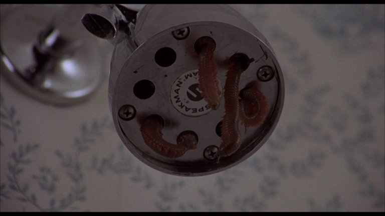 Screen capture from Squirm