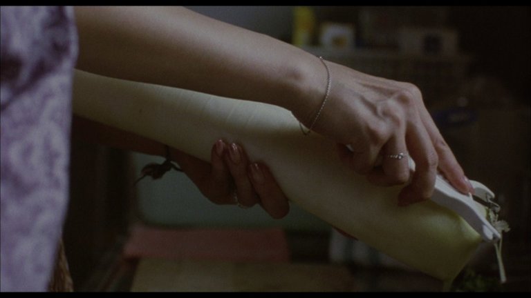 Screen capture from Still Walking