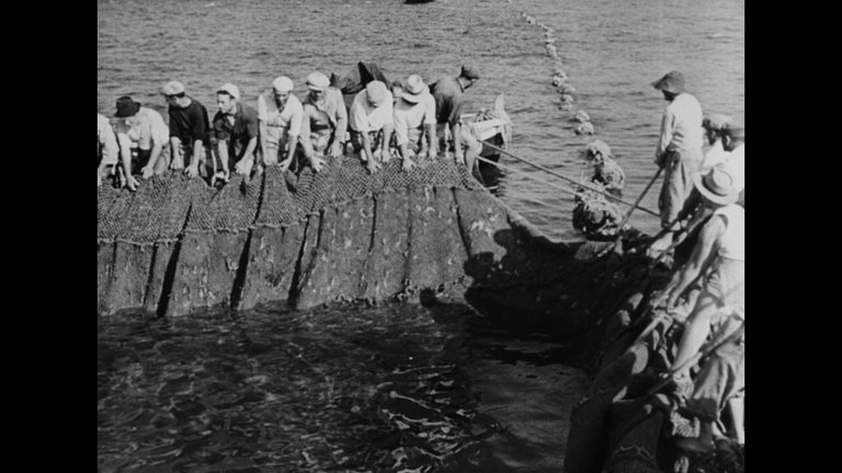 Screen capture from Stromboli