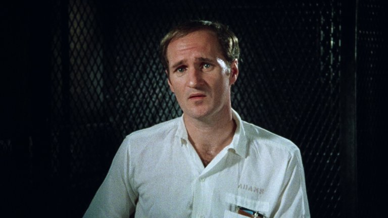 Screen capture from The Thin Blue Line