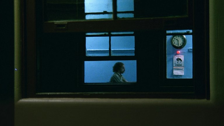 Screen capture from The Thin Blue Line