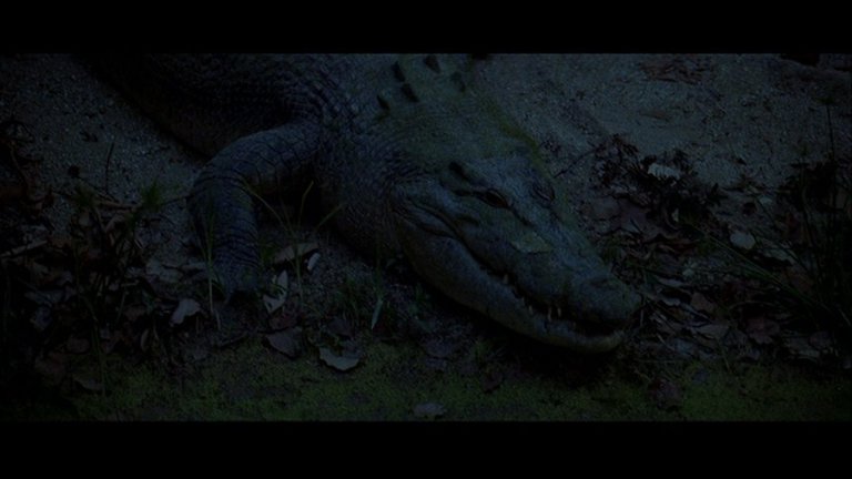 Screen capture from The Thin Red Line