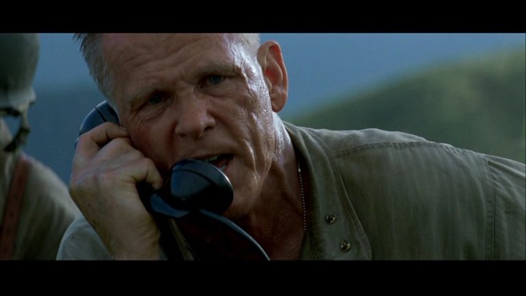 Screen capture from The Thin Red Line