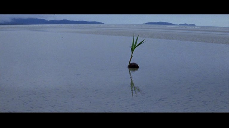 Screen capture from The Thin Red Line