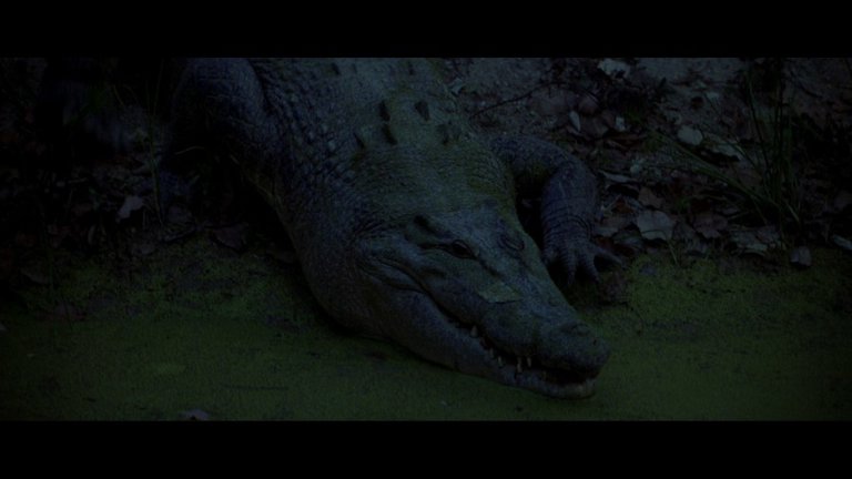 Screen capture from The Thin Red Line