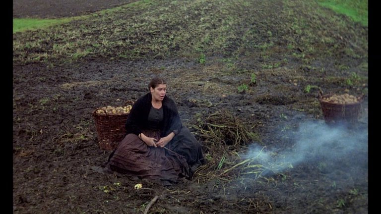 Screen capture from The Tin Drum