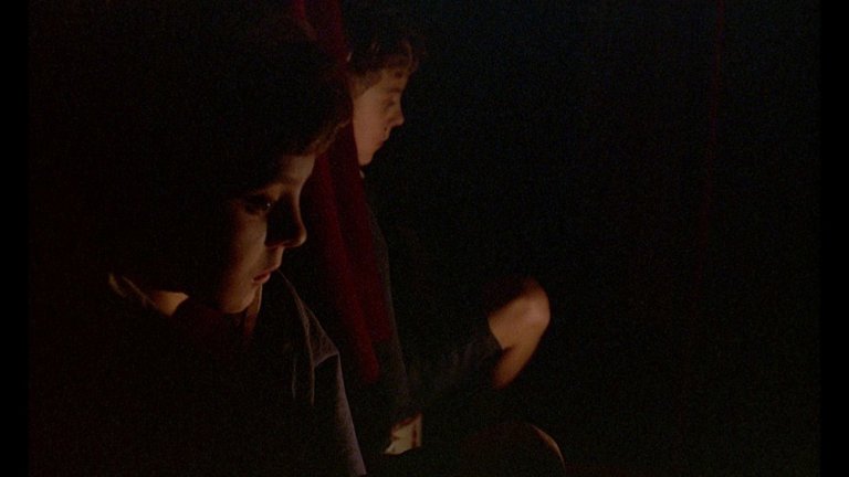 Screen capture from The Tin Drum