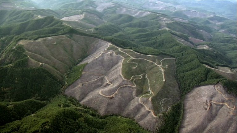 Screen capture from If A Tree Falls: A Story of the Earth Liberation Front