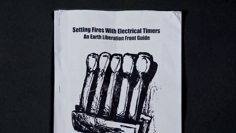 Screen capture from If A Tree Falls: A Story of the Earth Liberation Front