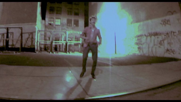 Screen capture from The Tree of Life