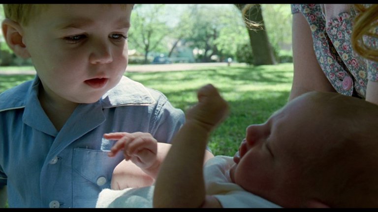 Screen capture from The Tree of Life
