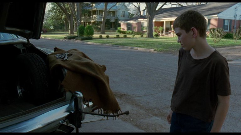 Screen capture from The Tree of Life