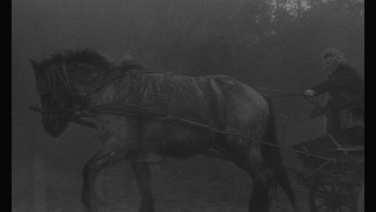 Screen capture from The Turin Horse