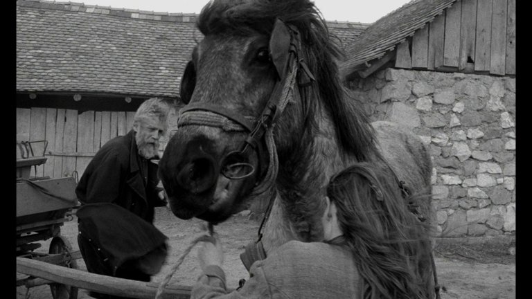 Screen capture from The Turin Horse