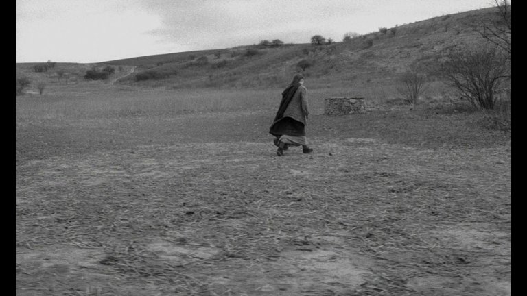 Screen capture from The Turin Horse
