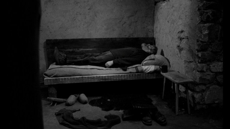 Screen capture from The Turin Horse