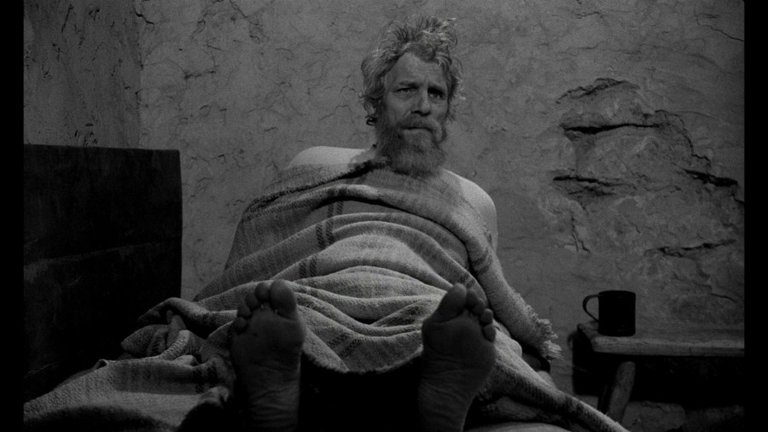 Screen capture from The Turin Horse