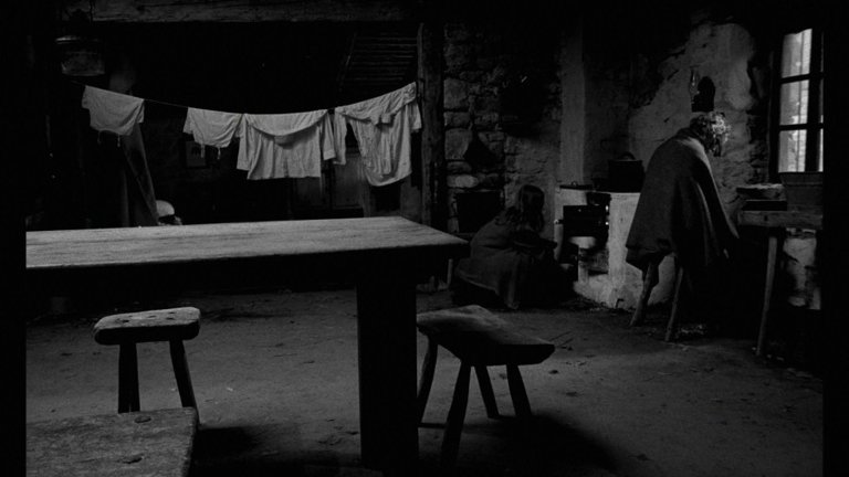 Screen capture from The Turin Horse