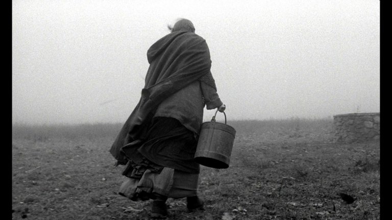 Screen capture from The Turin Horse