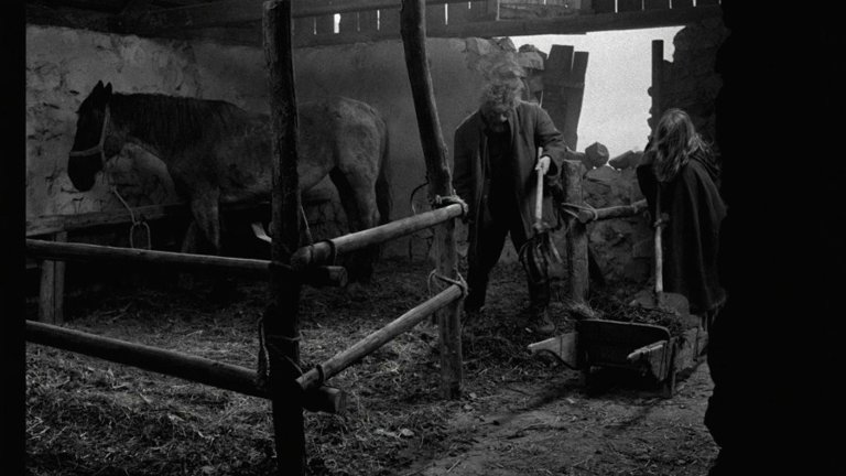 Screen capture from The Turin Horse