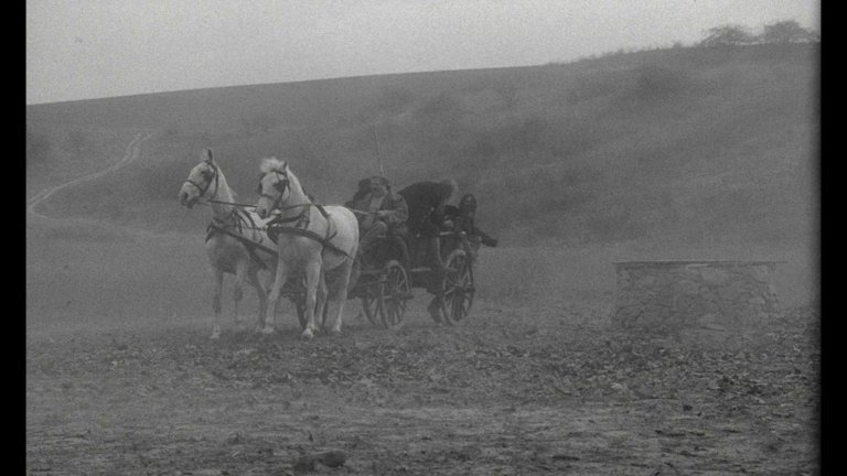 Screen capture from The Turin Horse