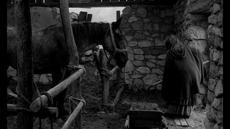 Screen capture from The Turin Horse