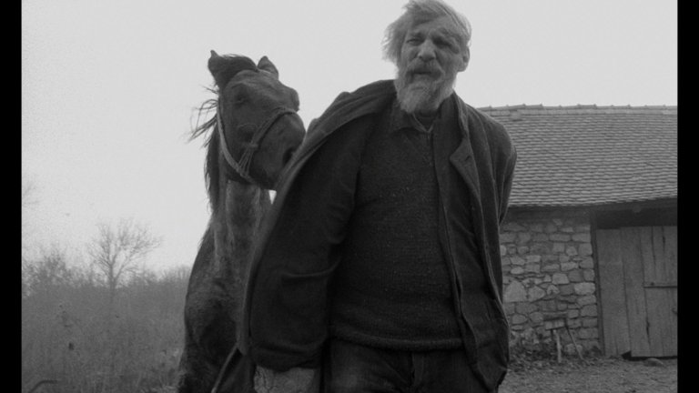 Screen capture from The Turin Horse