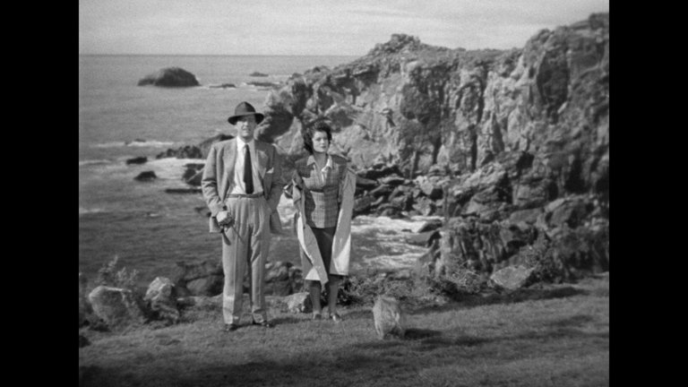 Screen capture from The Univited