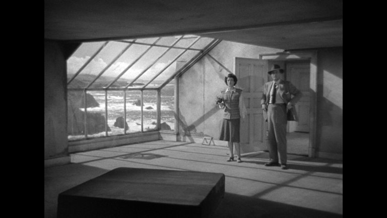 Screen capture from The Univited