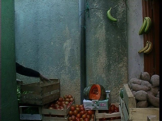 Screen capture from In Vanda's Room