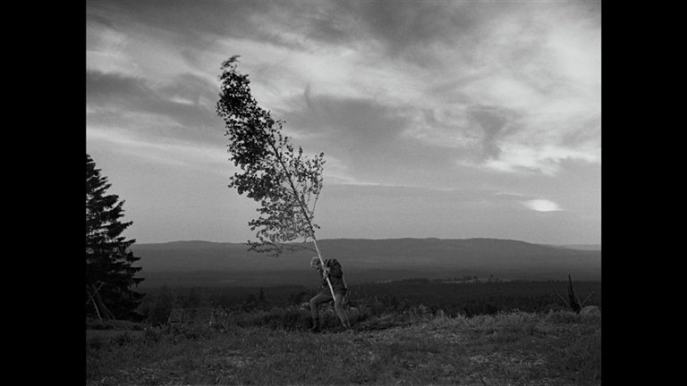 Screen capture from The Virgin Spring