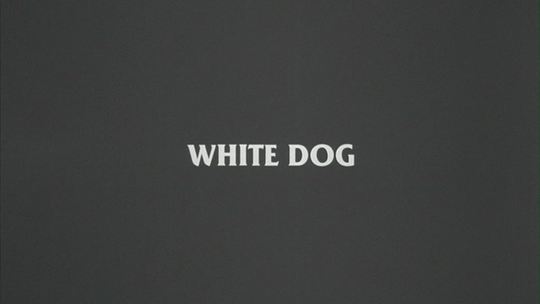 Screen capture from White Dog
