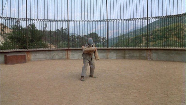 Screen capture from White Dog