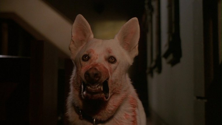 Screen capture from White Dog