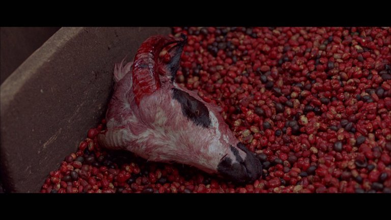 Screen capture from White Material