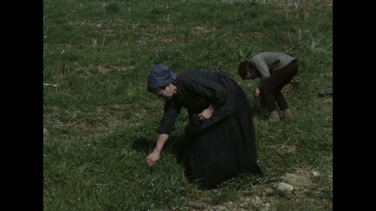 Screen capture from The Tree of Wooden Clogs