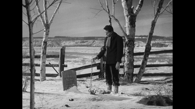 Screen capture from Young Mr. Lincoln