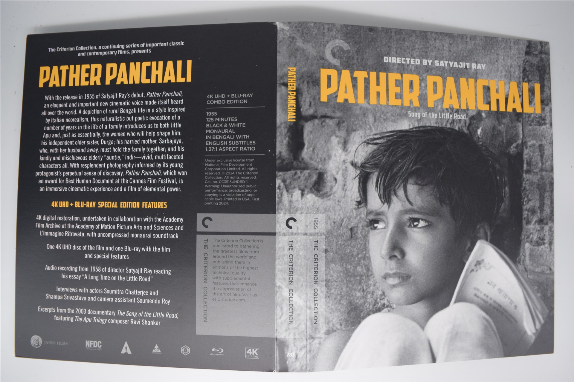 Screen capture from Pather Panchali