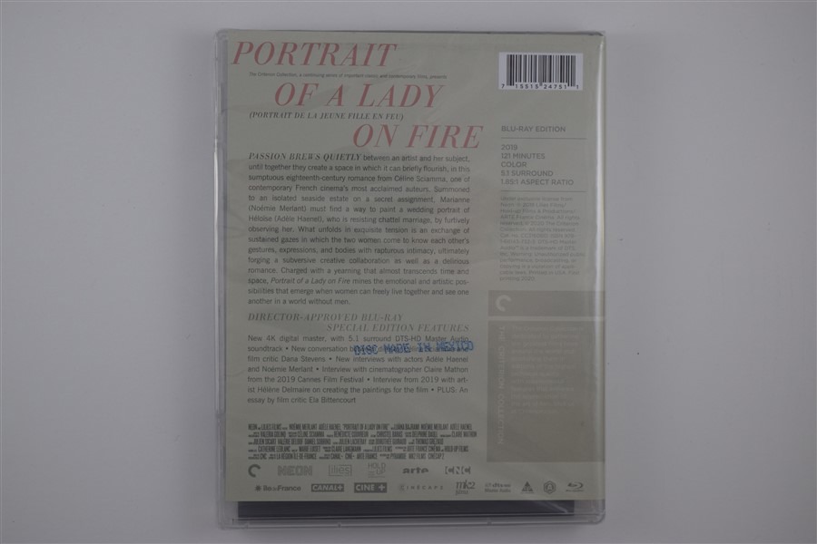 Screen capture from Portrait of a Lady on Fire
